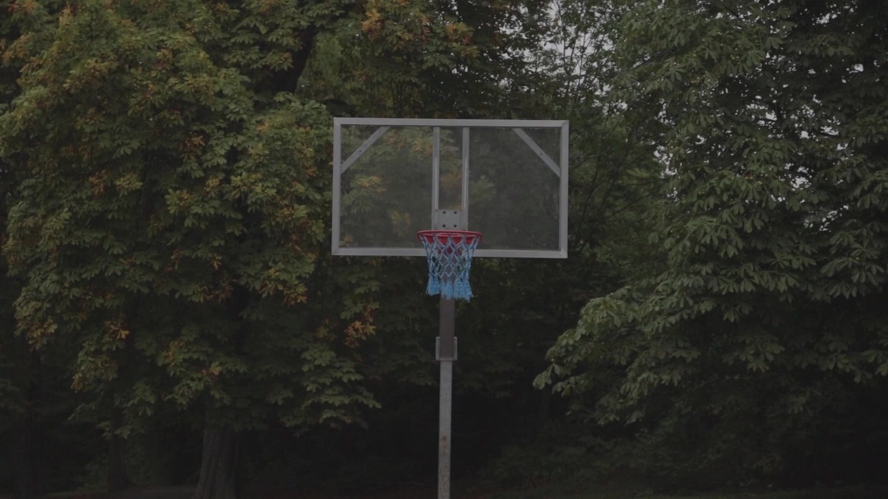 Utomhus basketkorg med genomskinlig bakplatta, omgiven av frodig grönska i Bygdøy.