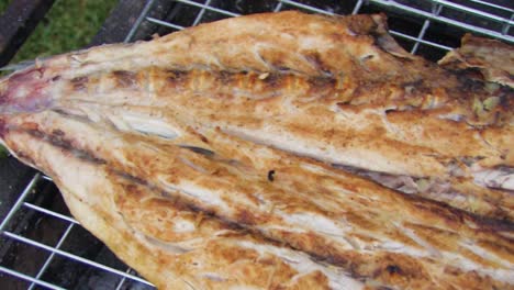 Grillen-Von-Fisch-über-Dem-Braai-Oder-Barbecue