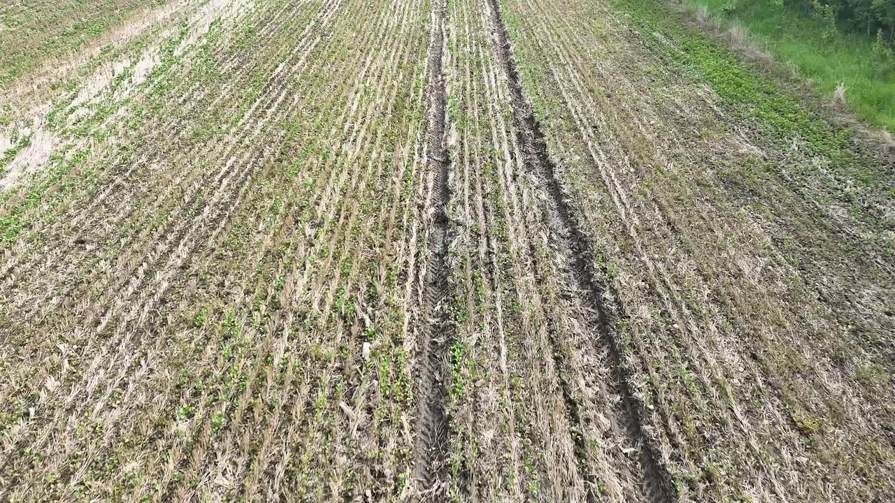 volando sobre las pistas de pulverizador llenas de agua en un campo de canola