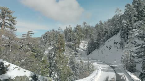 Aerial-views-of-mountains-and-trees-covered-in-fresh-snow