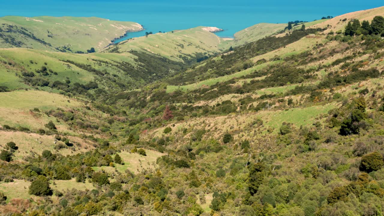 나무, 발리, 푸른 바다, 누사 페니다, 무인 항공기 사진, 여행자, 부서지는 파도, 공중 발사, 항공 사진, 섬 생활, 아시아, 무인 항공기 해변, 유효한, 조력, 인상, 초상화