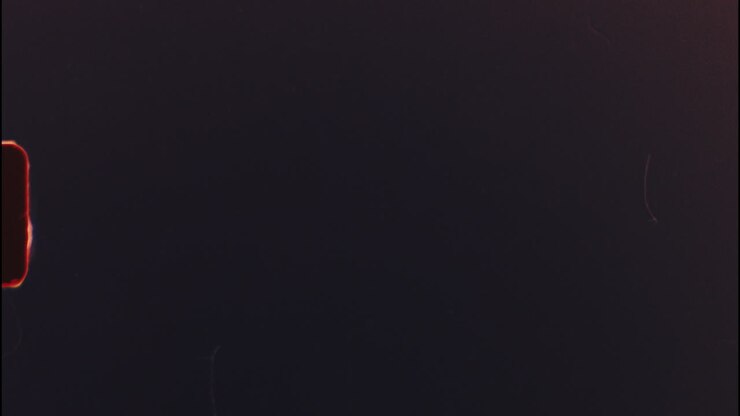 Vintage Film Negative Scan