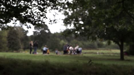 small crowd of people in the park defocused wide shot