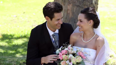 recién casados felices sentados en el parque junto a un árbol
