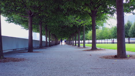 a pull away under a tree canopy of perfectly lined trees with two women walking away from the drone camera on a sunny day in the park