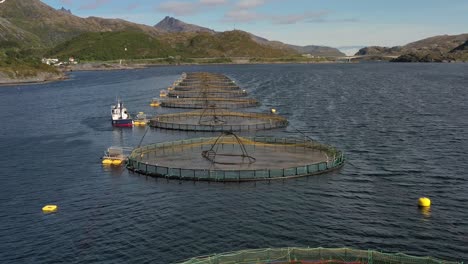 Luftaufnahmen-Von-Lachsfarmen-In-Norwegen