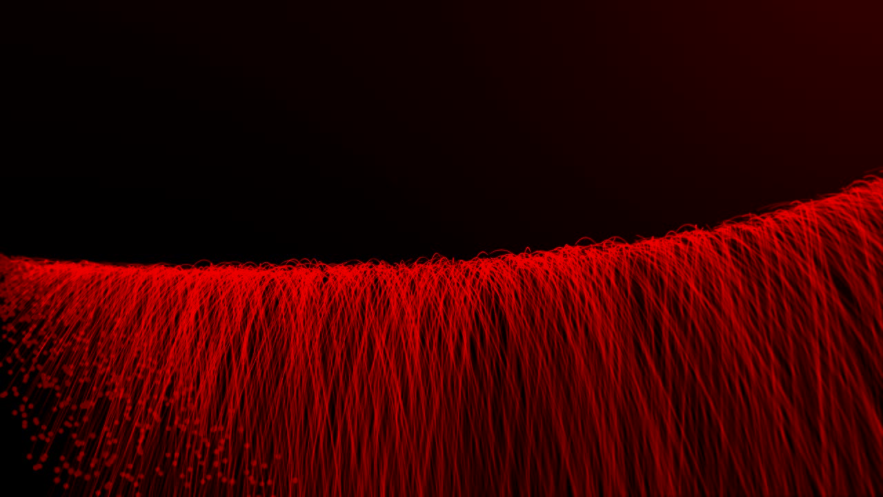 머리카락, 부드러운 배경