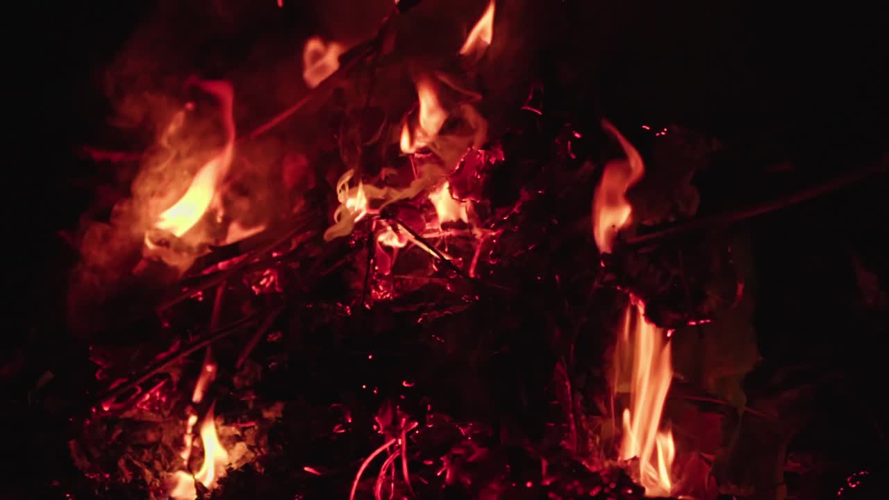 Close-up of flames consuming dry tree leaves, showing glowing embers, smoke, and intense heat in a natural outdoor environment