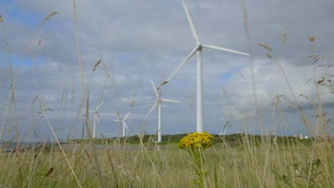 Wind-turbines-low-angle-view-showing-grasses-and-weeds-blowing-in-wind-on-cloudy-summer-day