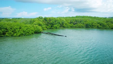 Aerial-shot-of-rusty-leaking-pipe-running-into-lake-surrounded-by-mangroves,-dumping-sewage