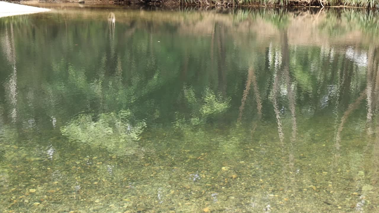 lapso de tiempo de un estanque que refleja un paisaje forestal dinámico