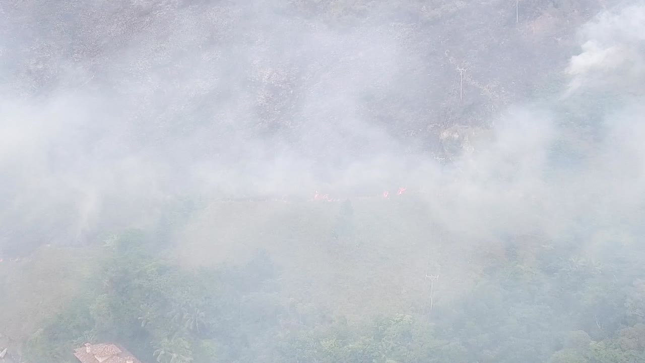 Panorama of vegetation fire with lots of smoke