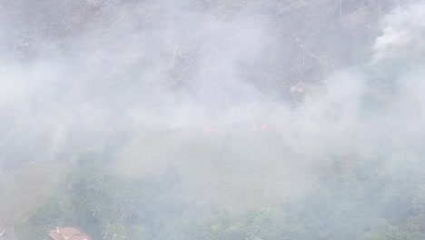 panorama de fuego de vegetación con mucho humo