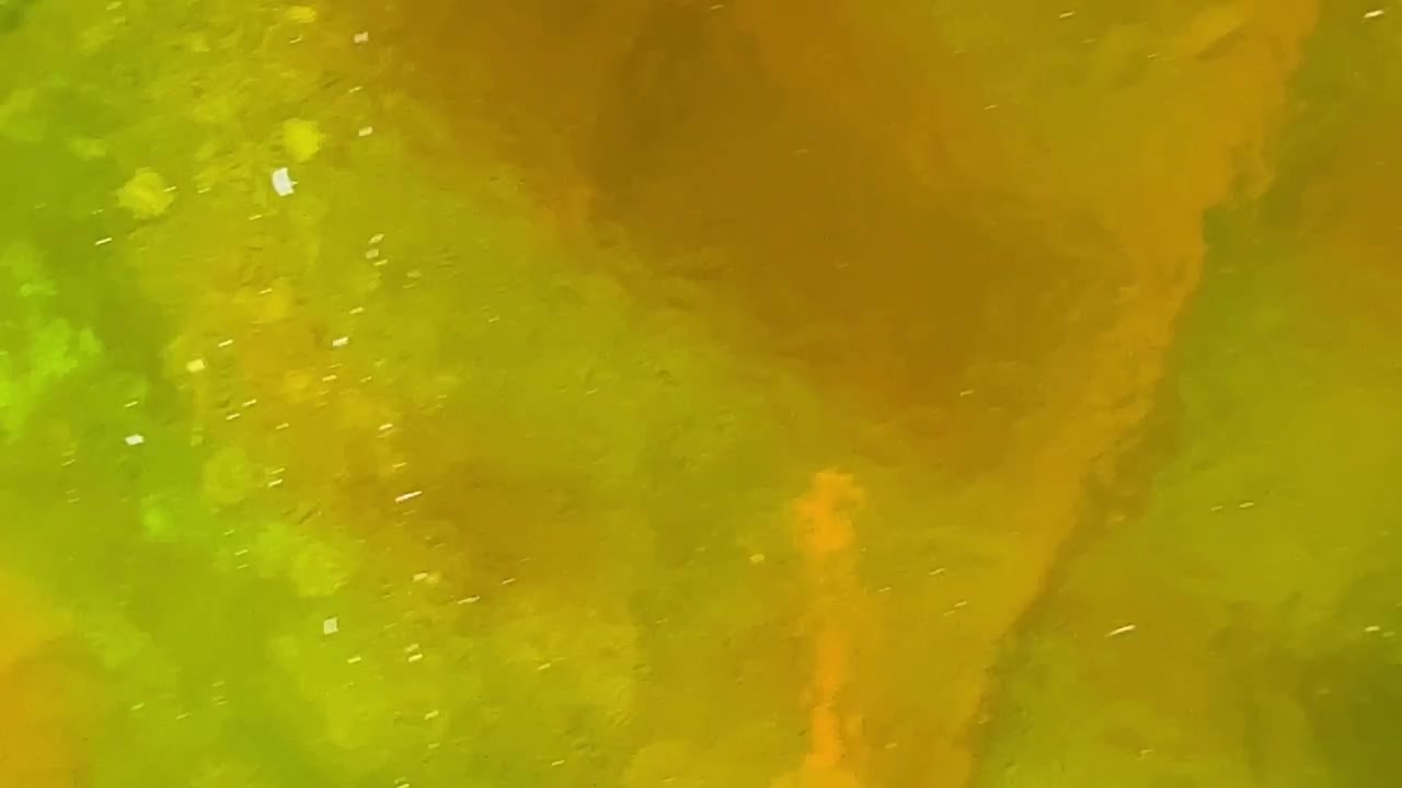 Fundo Abstrato de Textura Plástica Iridescente Amarela e Verde Cintilante