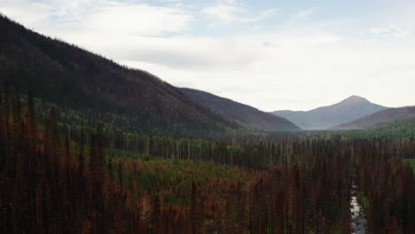 aftermath of destructive wildfire in mountain valley around river, aerial dolly