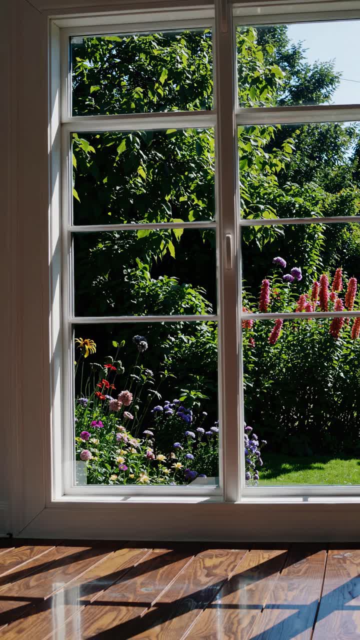 Video still of a sunlit garden through a window, captured from a low angle
