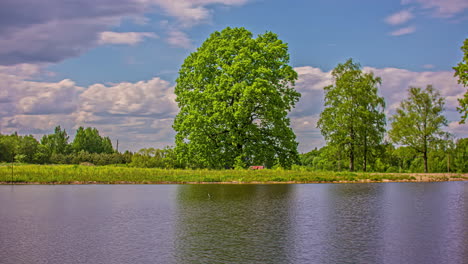las nubes cruzan el cielo ventoso mientras que los árboles y el cielo se reflejan en el lago - lapso de tiempo de paisaje nublado
