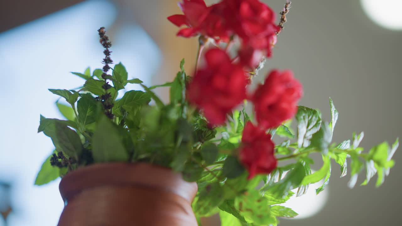 Potted herbs on counter home cook candid kitchen terracotta planter with red blooms and lush green leaves seen through soft foreground blur, cinematic bokeh lights and natural sunlight, upward angle