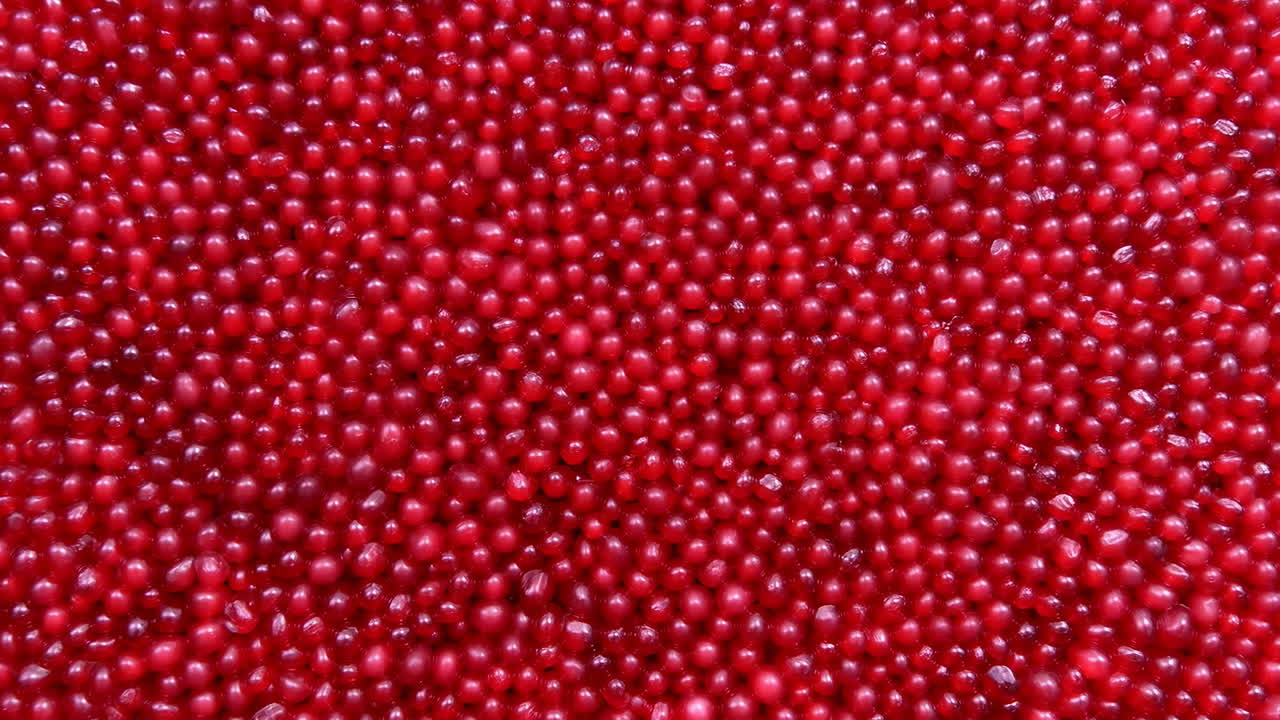 Makro-Textur roter Zuckerstreusel, dichtes Feld glänzender runder Nonpareils mit feinen Glanzlichtern, geringe Schärfentiefe.