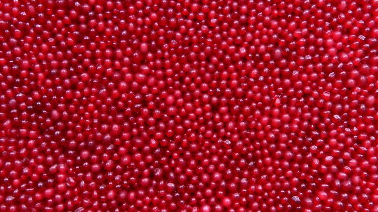 Macro Red Candy Sprinkles Texture, Dense Field Of Glossy Round Nonpareils With Subtle Highlights, Shallow