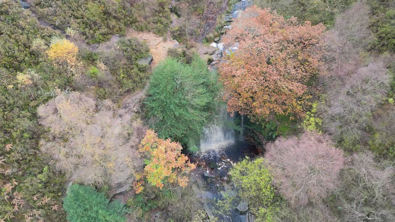 무어랜드 장면을 가로질러 날아다니는 강의 드론 영상