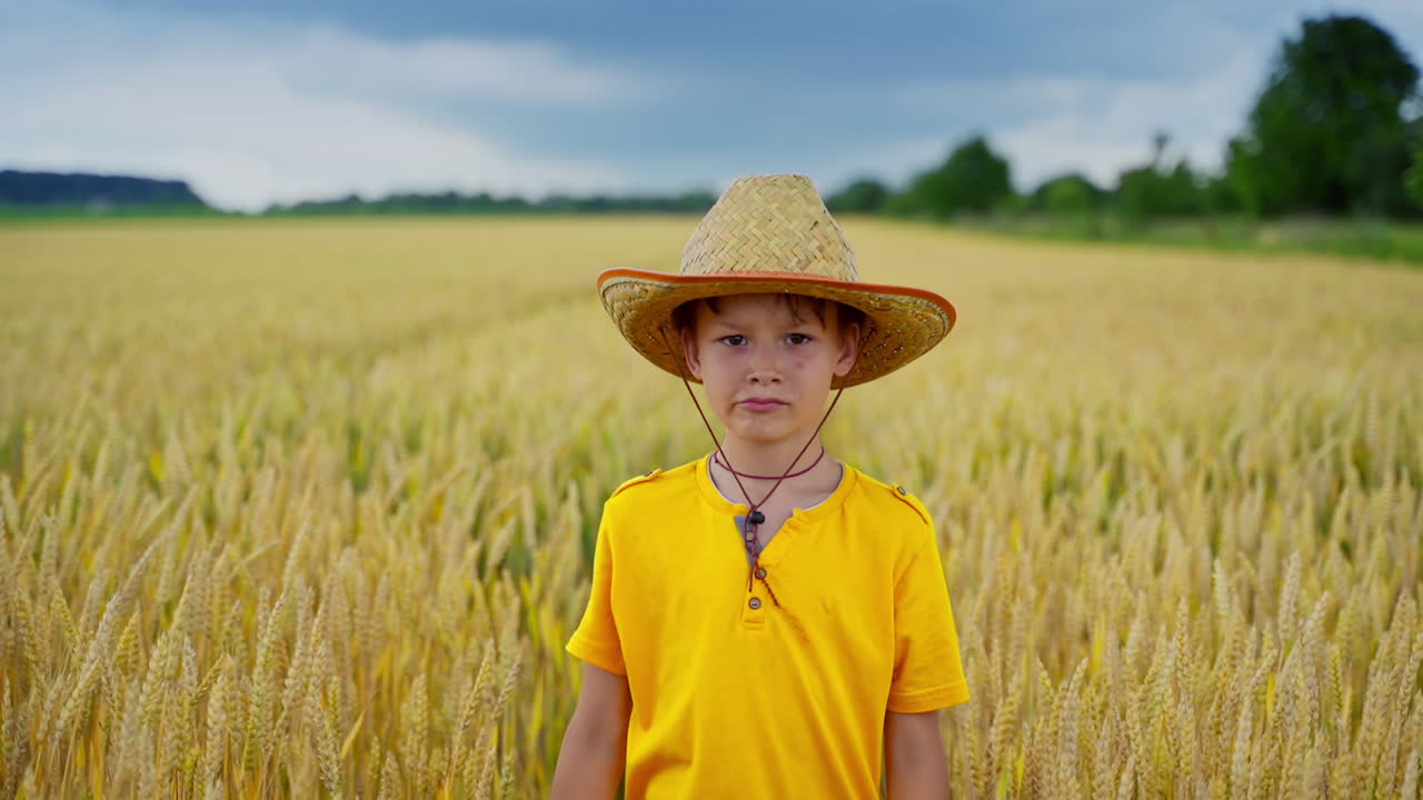 Portrait of a little farmer on field. Healthy boy in straw hat and yellow t-shirt looking on camera and smiling on the wheat field background.