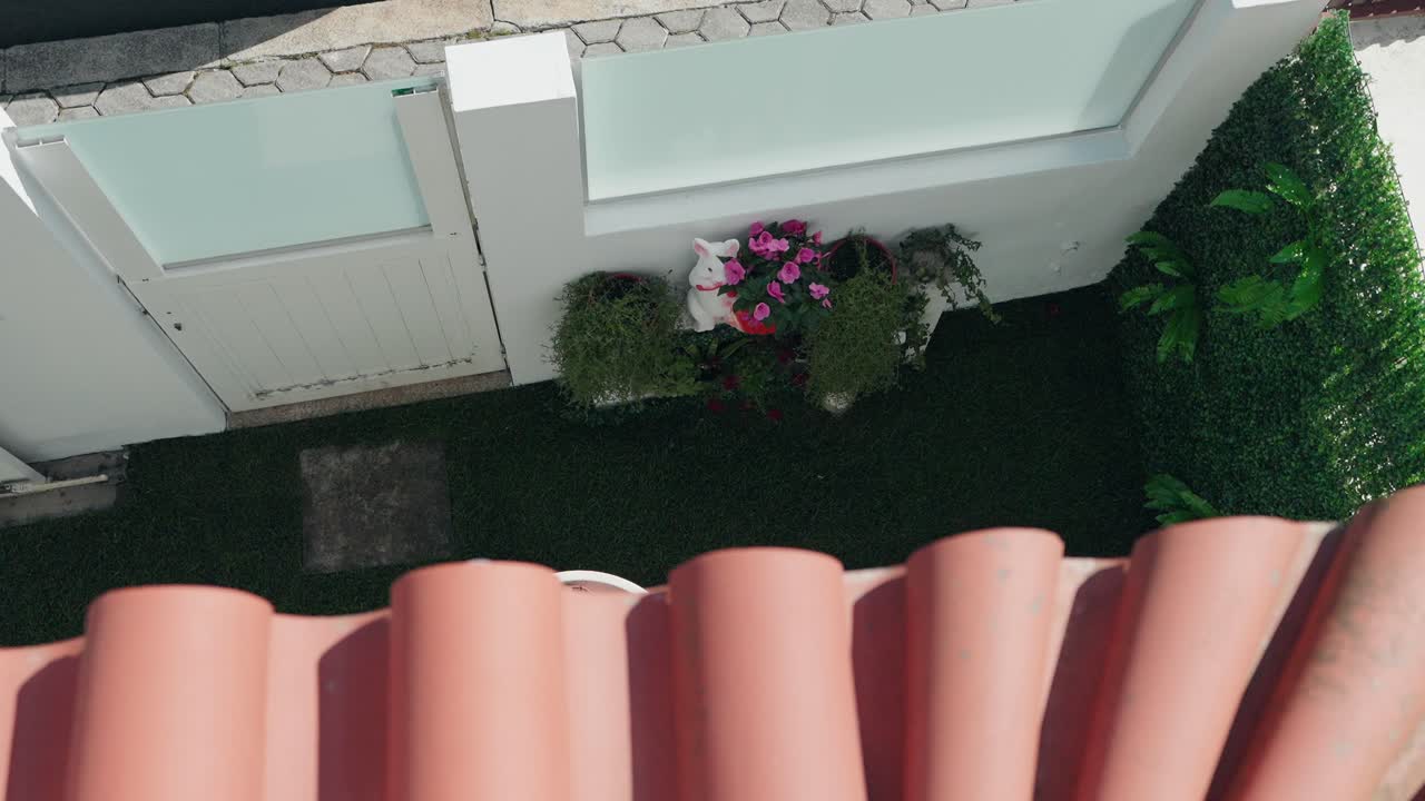 High angle of small garden with flowers in a residential courtyard