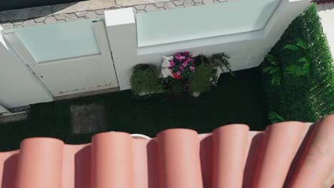 high angle of small garden with flowers in a residential courtyard