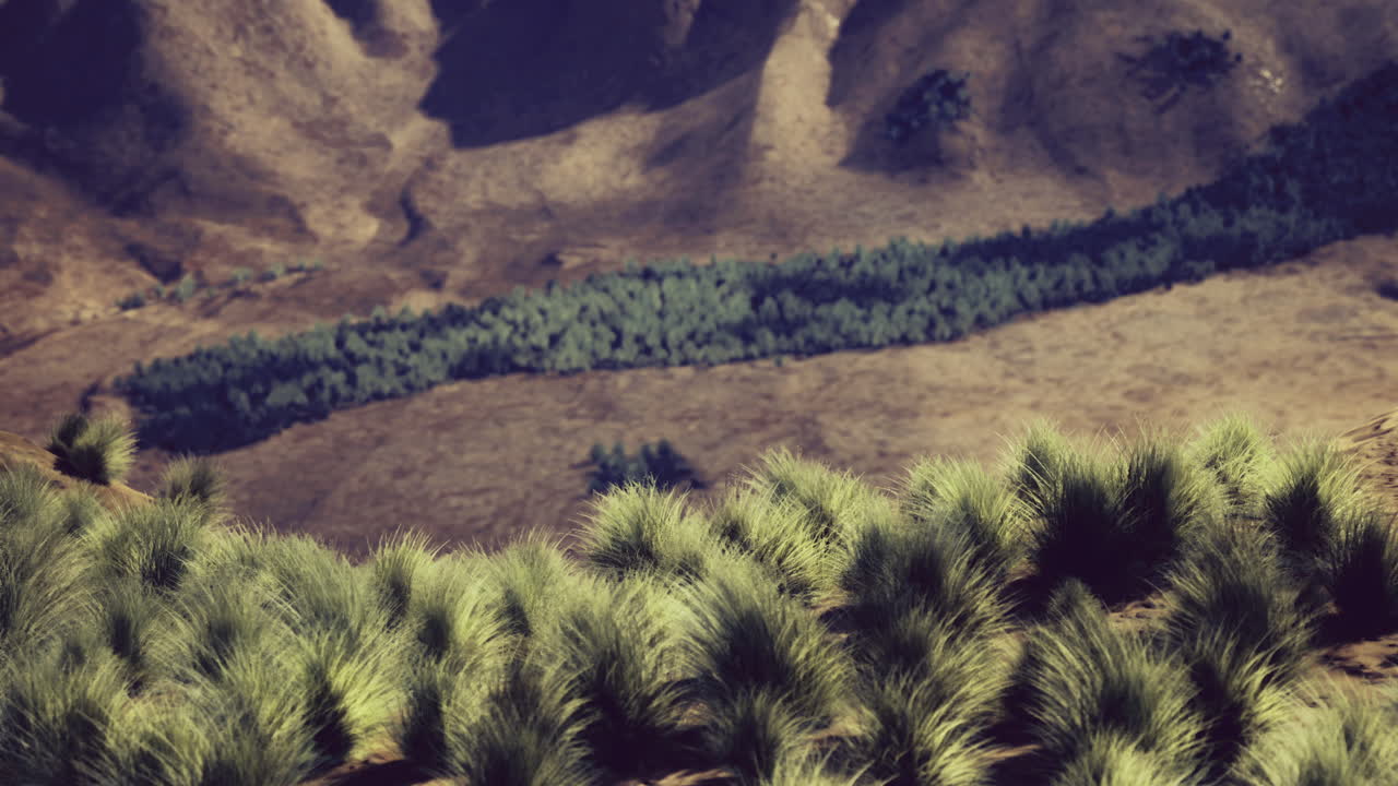 River flows through lush mountainous landscape