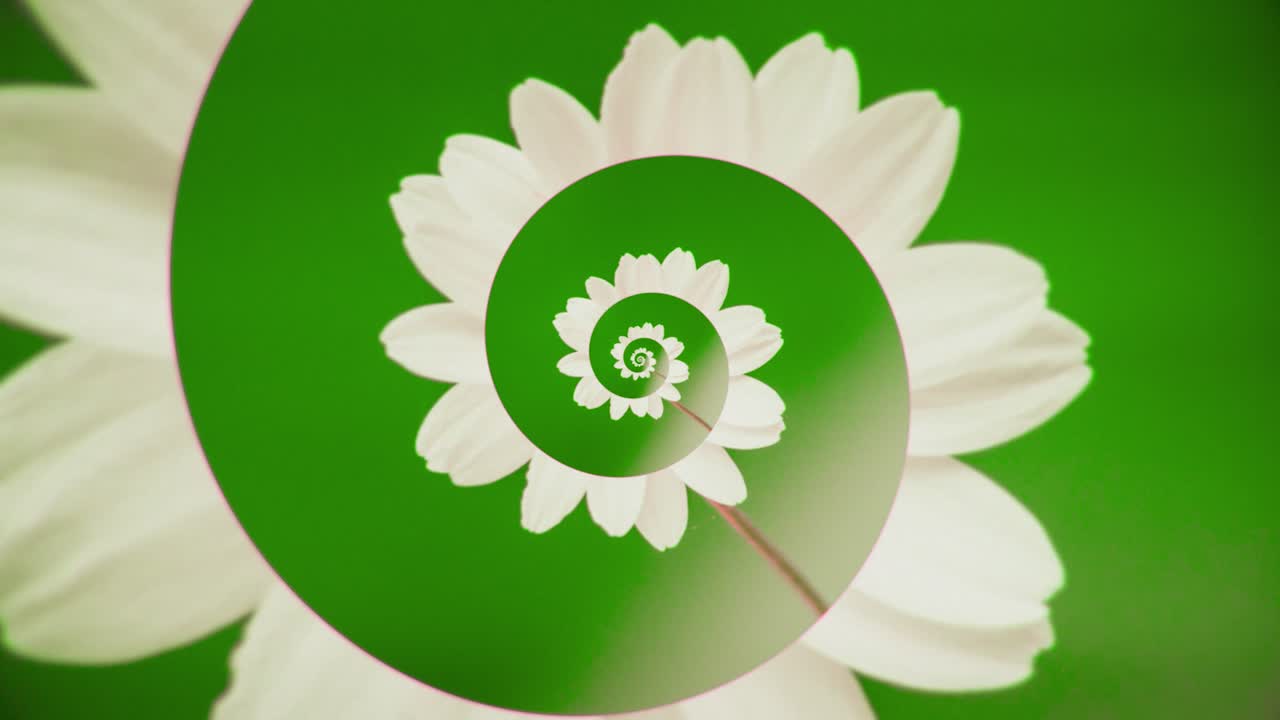 flor en espiral sobre un fondo verde