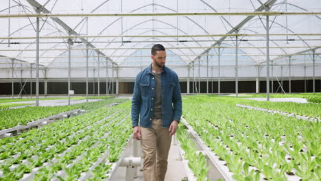 Farmer,-nursery-and-man-in-garden