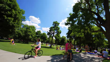 personas disfrutando de un día soleado en un parque verde