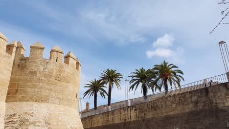 Palm-trees-next-to-theThe-Torre-de-Calahorra-view-of-the-ancient-fortress-in-Cordoba,-Spain