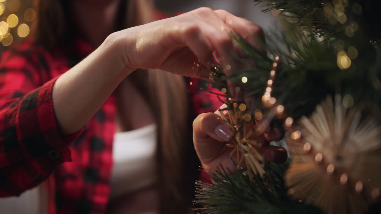 Decoración del árbol de Navidad