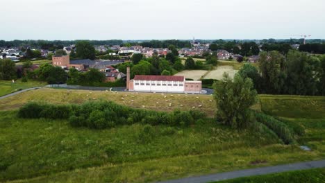 belgium township, factory and sheep herd, aerial drone view