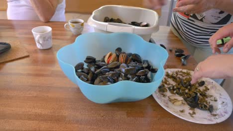 fresh seashells in blue bowl on wooden table