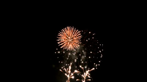 축제 불꽃놀이 폭발과 어두운 배경에서 빛나는 어과 곡물 가공