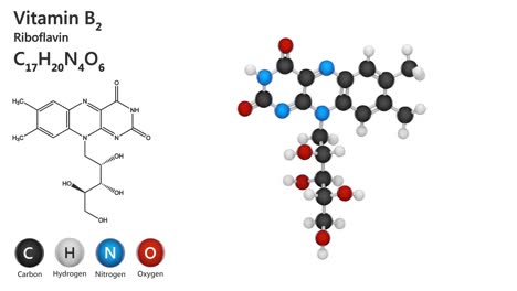 vitamin b2(riboflavin). seamless loop.