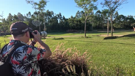 photographer taking pictures of wildlife in the zoo