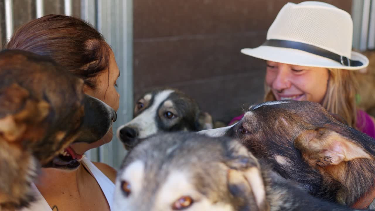 Donne felici che giocano con husky in un rifugio per animali