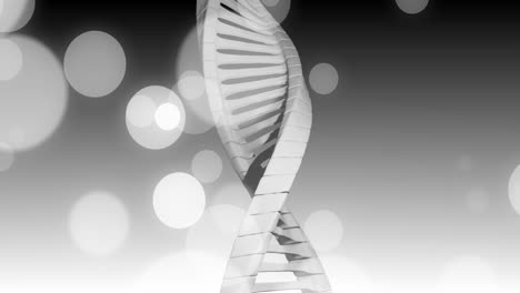 Animation of dna strand and spots of light on dark background