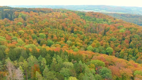 Aerial-Drone-shot-of-vibrant-autumn-colours-4K