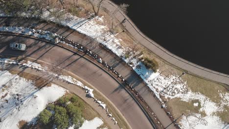 Luftaufnahmen-Der-Straße-Am-Seeufer-An-Einem-Sonnigen-Nachmittag,-Vorbeifahrende-Autos