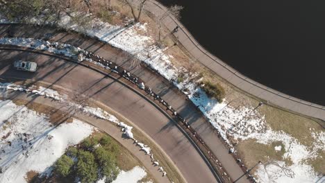 imágenes aéreas de la carretera junto a la orilla del lago durante una tarde soleada, coches pasando
