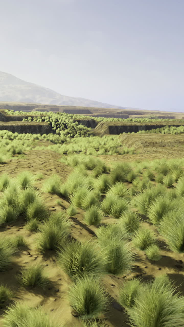 Lush green grasslands stretch across the landscape under a clear sky