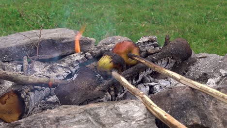 food being heaten up on a campfire