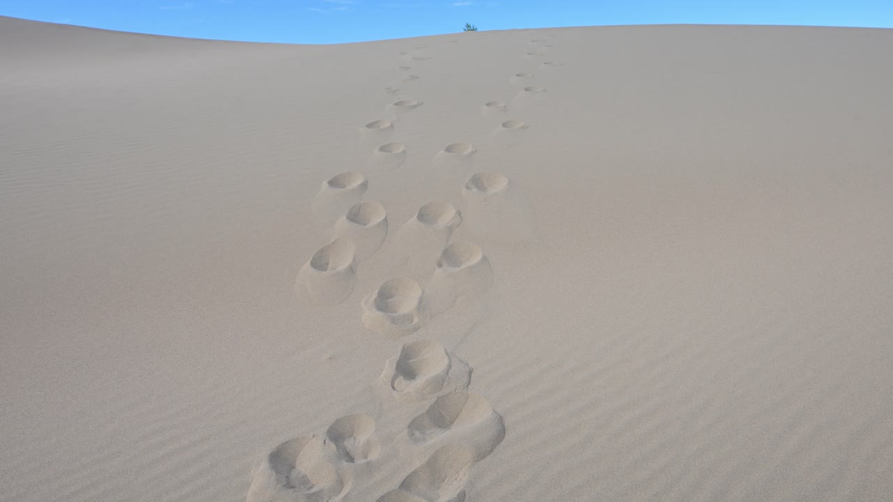 Two parallel sets of footprints show a pair of travelers climbing a large sand dune together, their path leading towards the crest against a clear blue sky. Mongolia