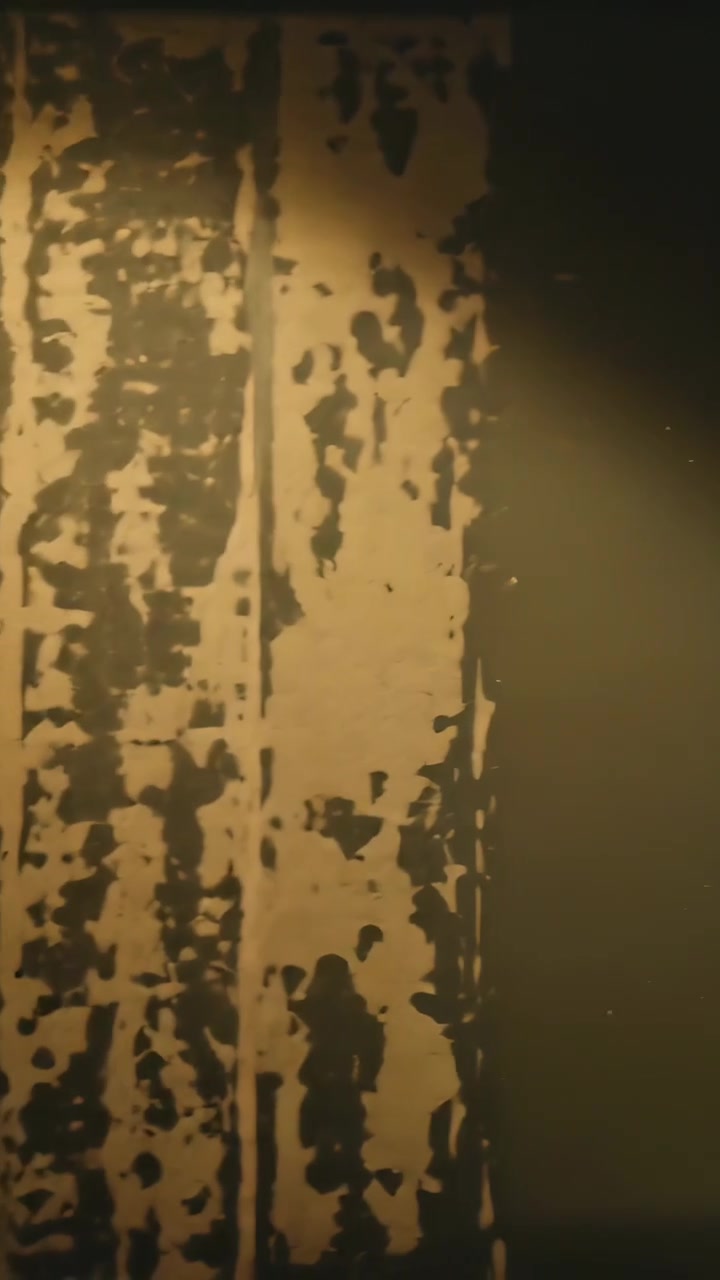Vertical video: Panning camera in dim corridor, showing peeling beige coat revealing grey base