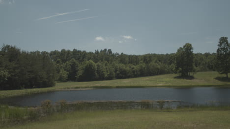pan across a small pond on farmland in rural tennessee.