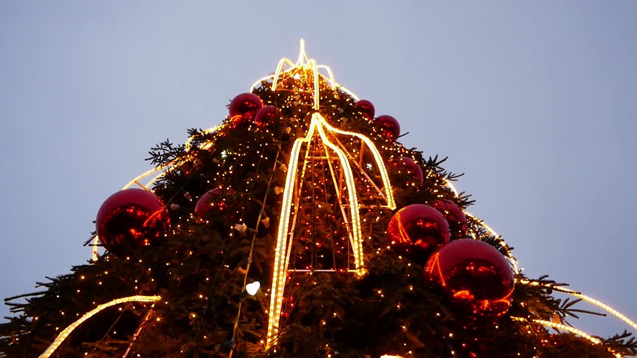 빌니우스 시청 광장 크리스마스 트리의 하단 샷을 닫습니다.